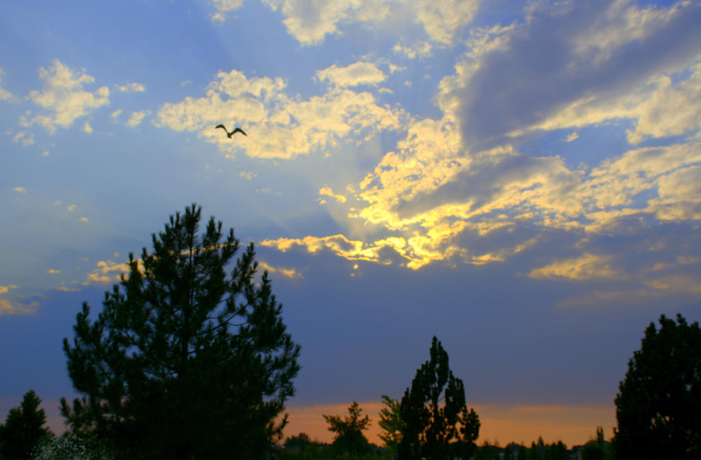 Clouds #2 8-9-2016.jpg