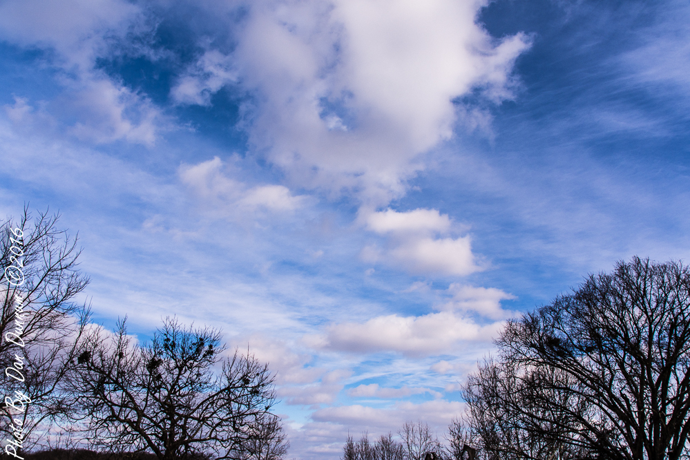 Clouds-2397.JPG
