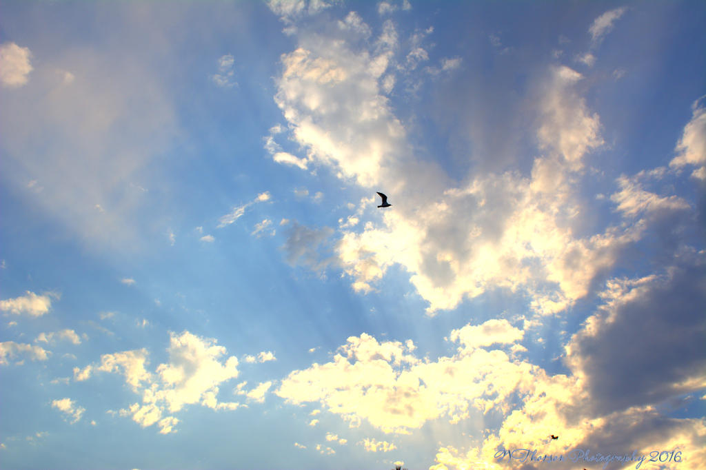 Clouds #3 8-9-2016.jpg