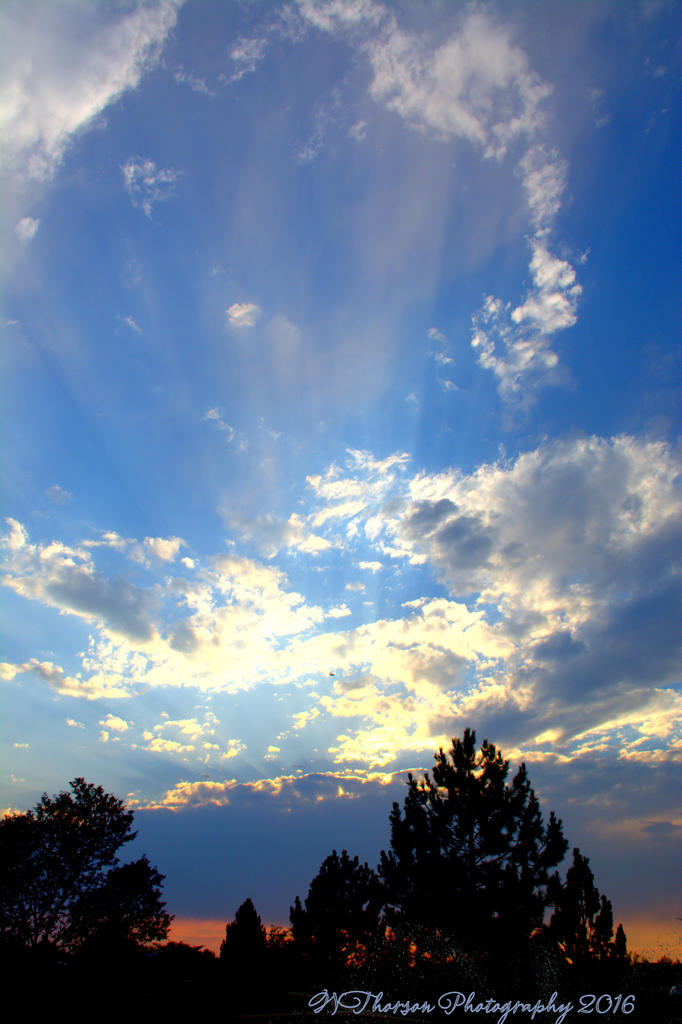 Clouds #4 8-9-2016.jpg