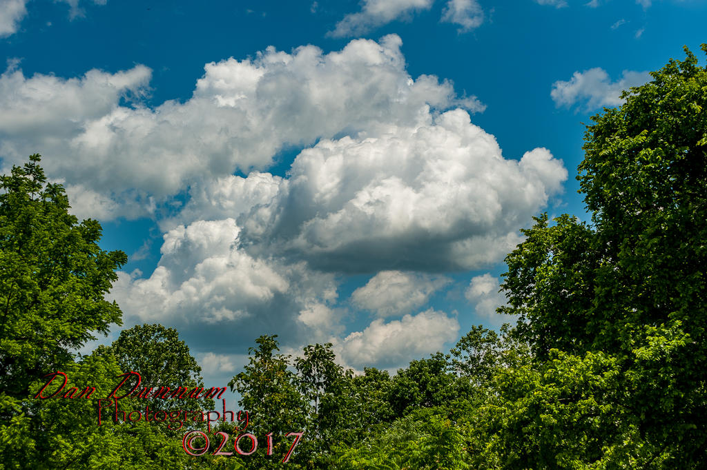 clouds-5766.jpg
