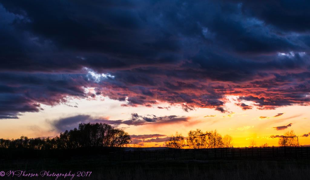 Clouds at Sunset #5 4-1-2017.jpg