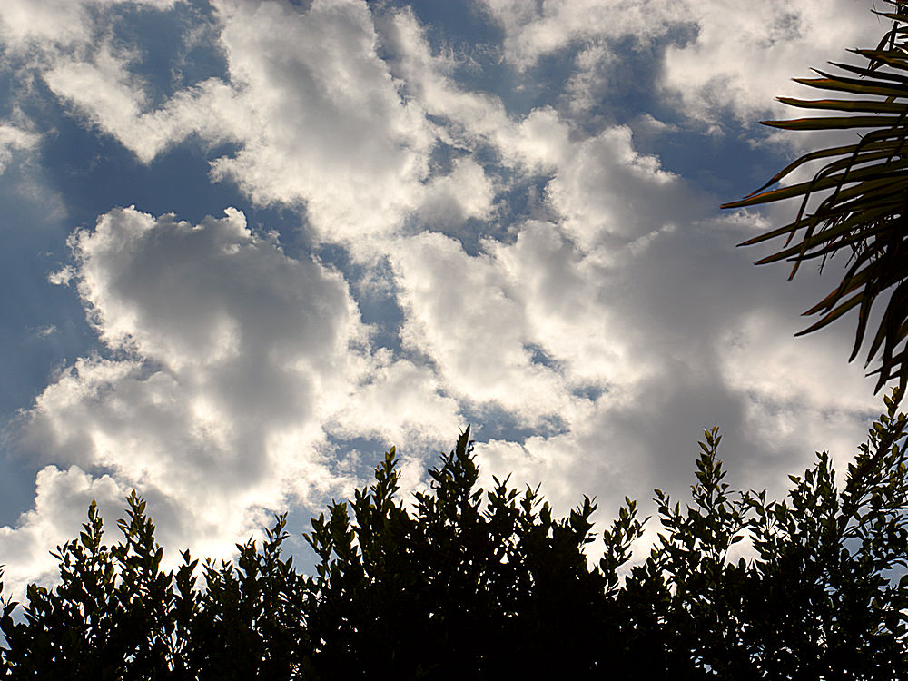 Clouds.jpg