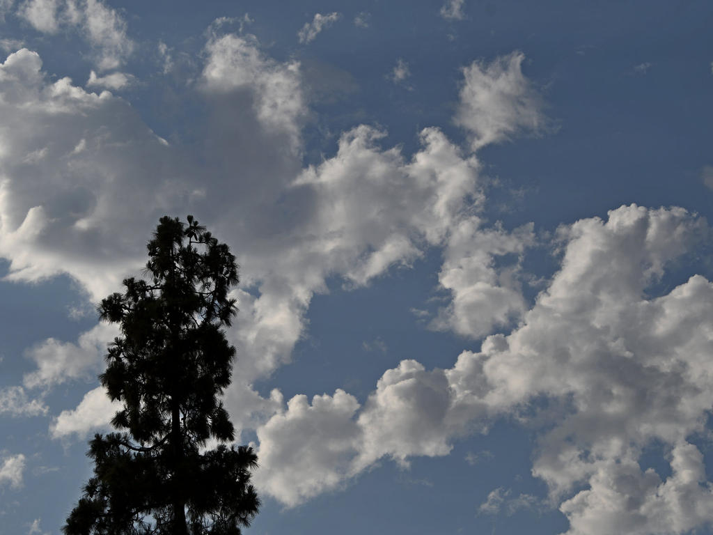 Clouds.jpg