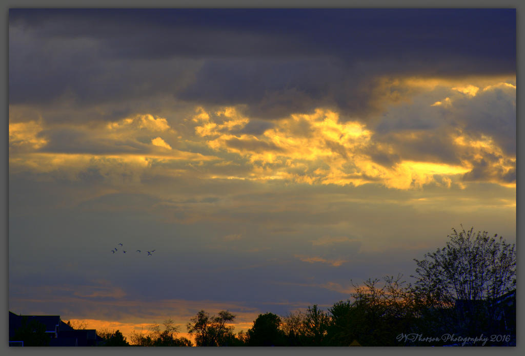 Clouds with Birds  4-26-2016.jpg