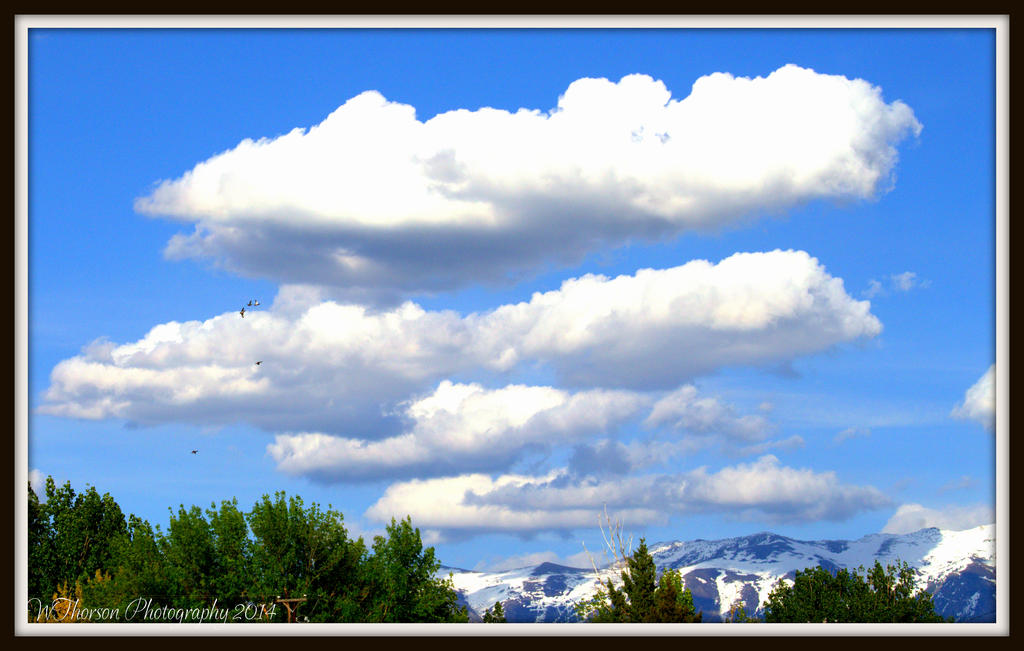 Clouds with Ducks in Flight.jpg