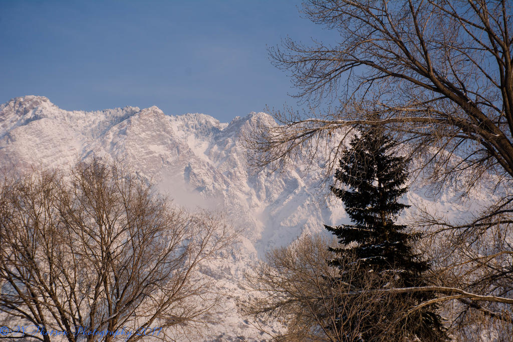 Cloudy Mountain with Trees 1-28-2017.jpg