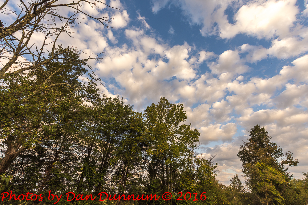 Cloudy Sunrise-4803.jpg