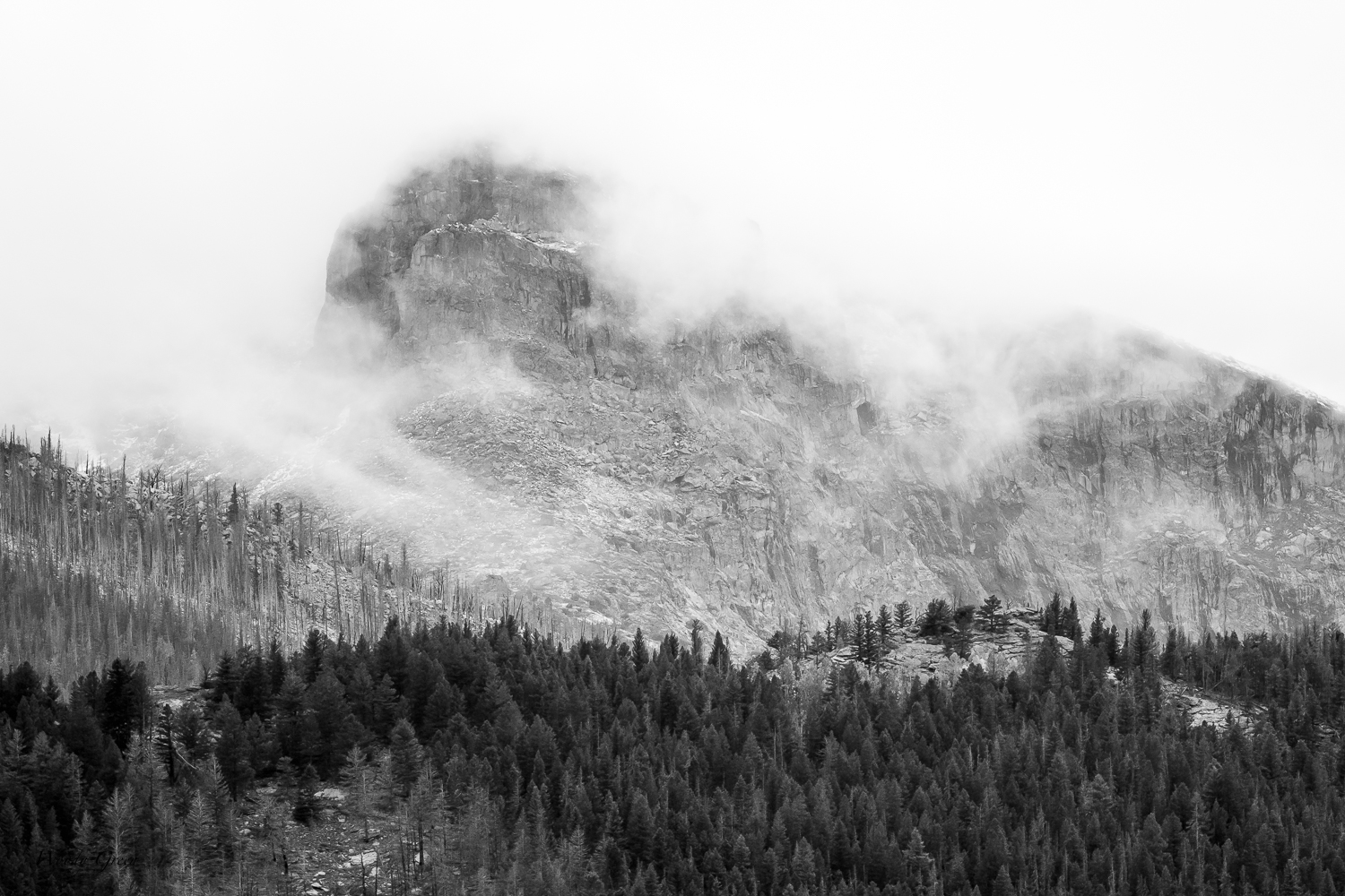 CloudyRidgeBW-290.jpg