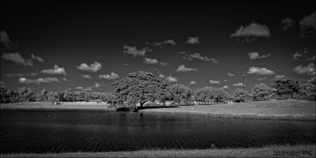 Clyde Butcher Tribute Photo    2015.jpg