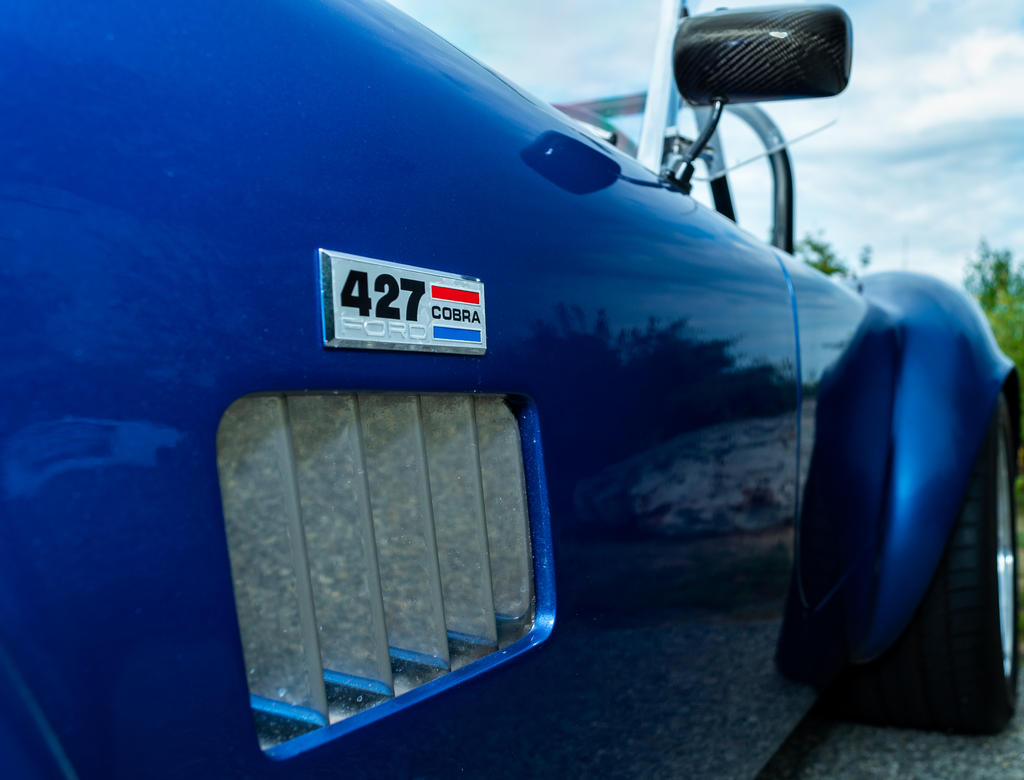 Cobra 2 (1 of 1).jpg