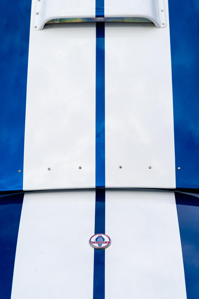 Cobra Hood Front Open (1 of 1).jpg