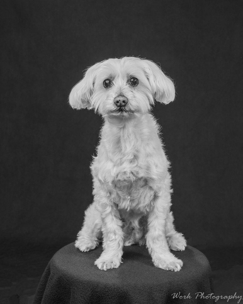 Cody-8393-Edit-2.jpg