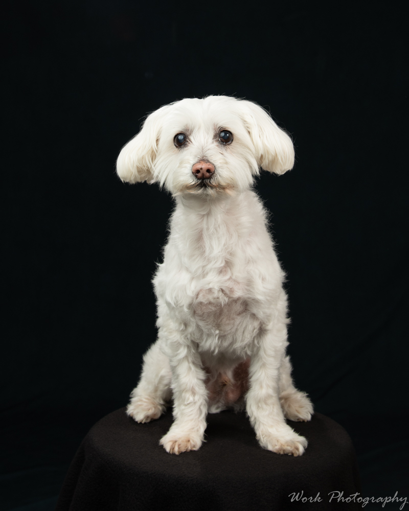 Cody-8393-Edit-3.jpg