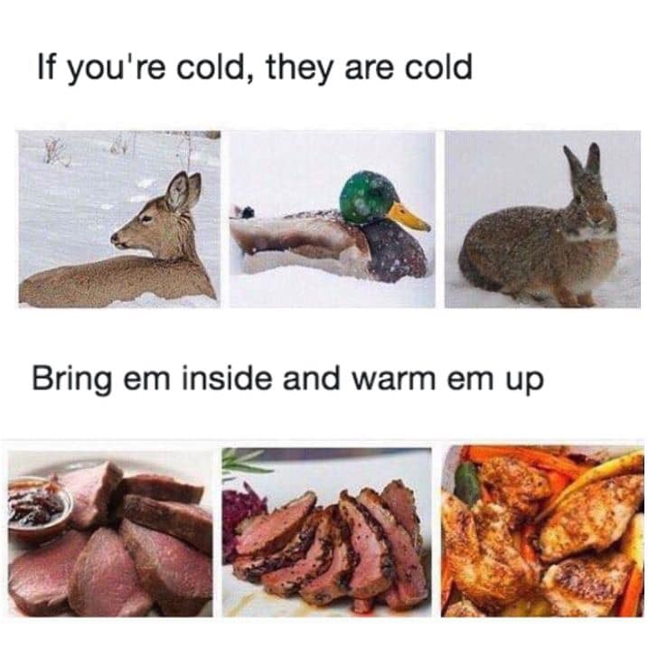 Cold 2.jpg