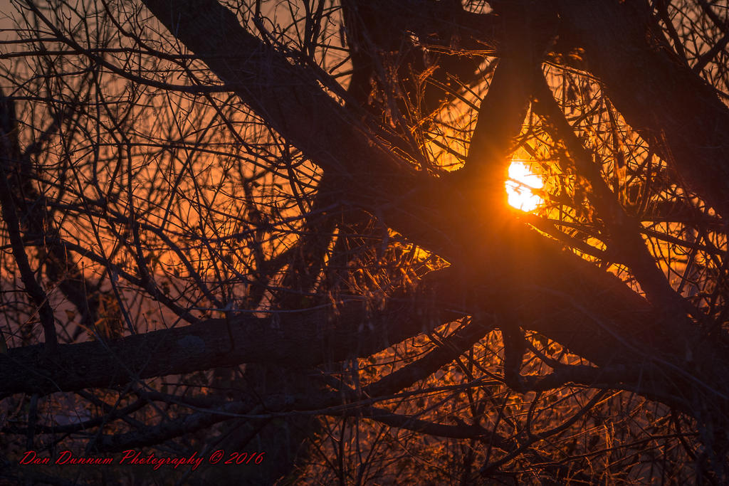 Cold Dawn-8919.jpg
