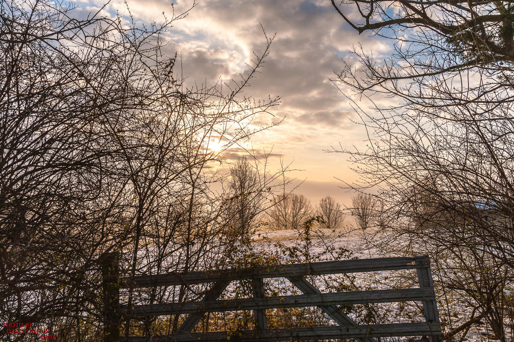 cold morning-1434.jpg