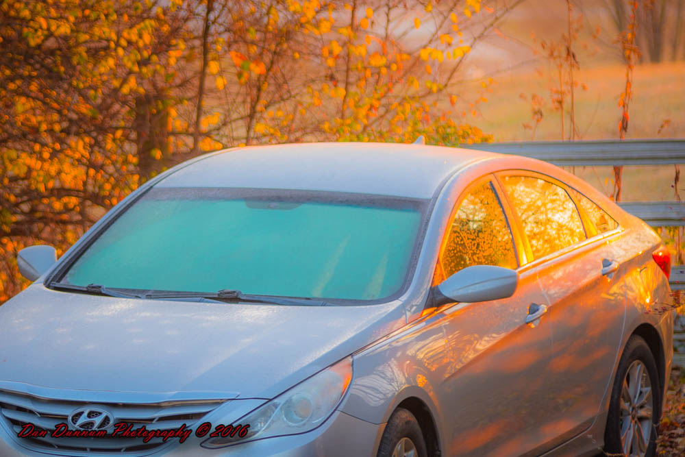 COLD Morning Fog-8427.jpg