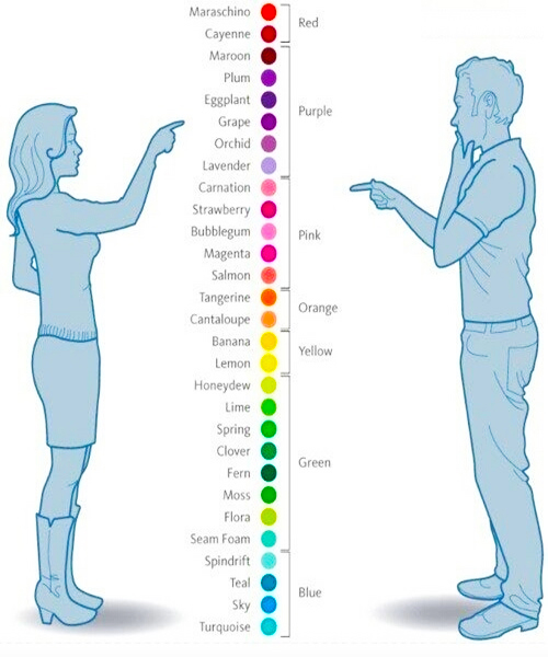 Color.jpg