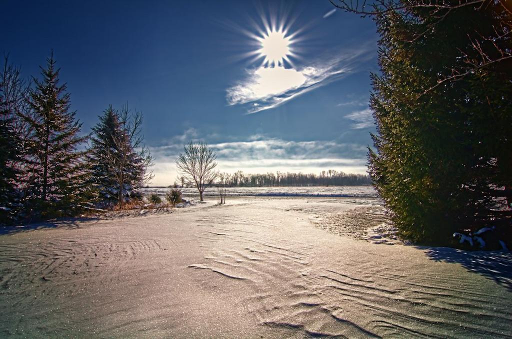 color of snow 1200.jpg