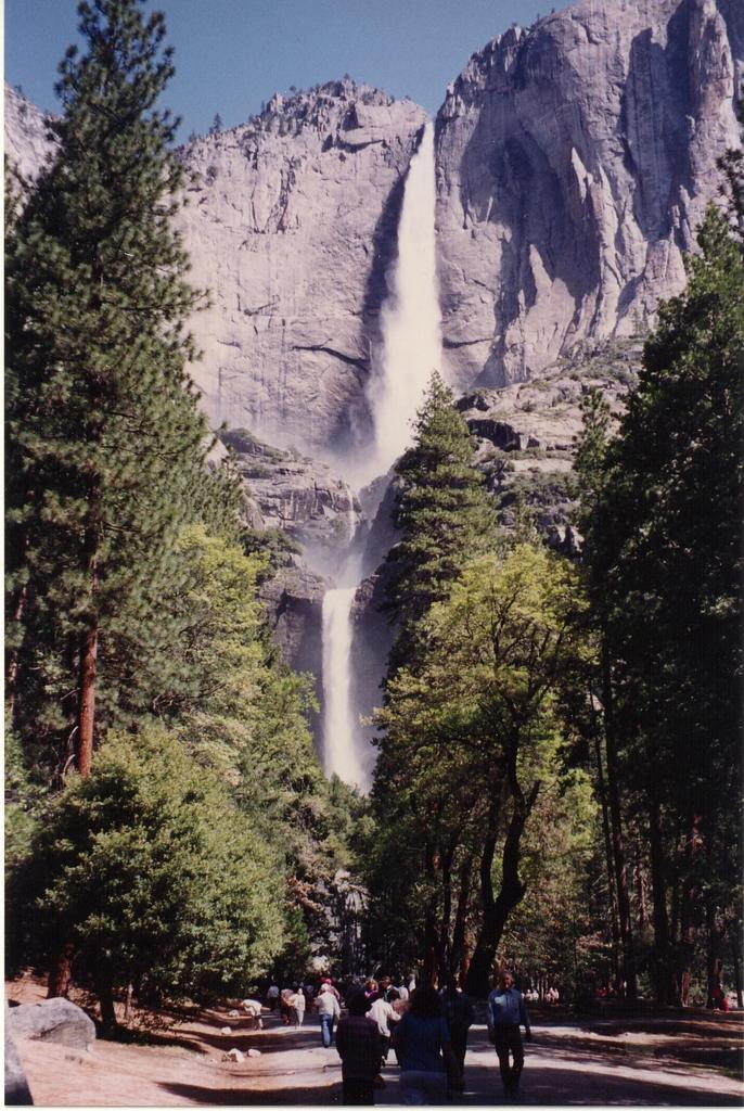 Color0015.jpg