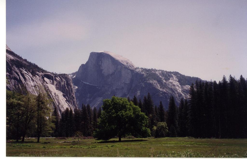 Color0017.jpg