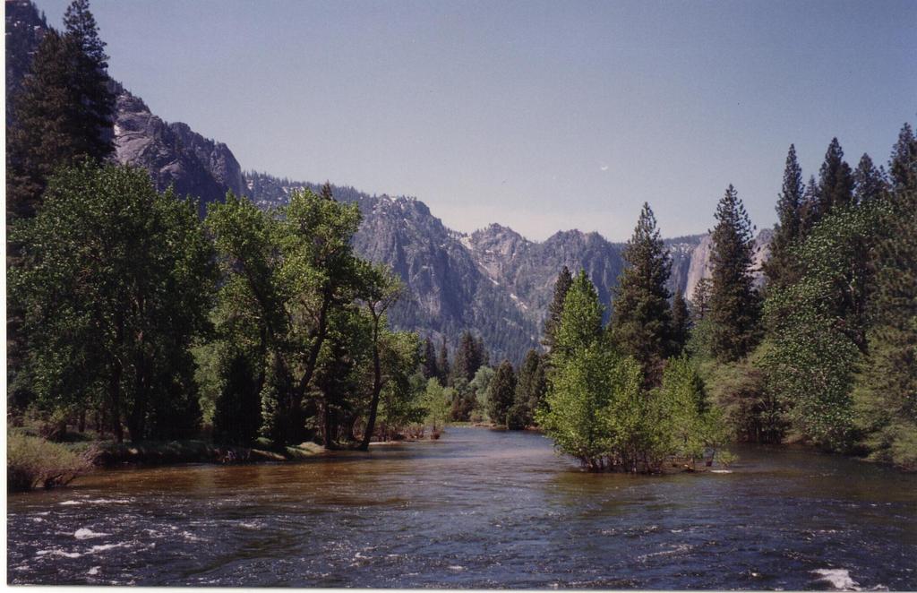 Color0021.jpg