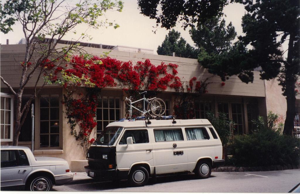 Color0040.jpg