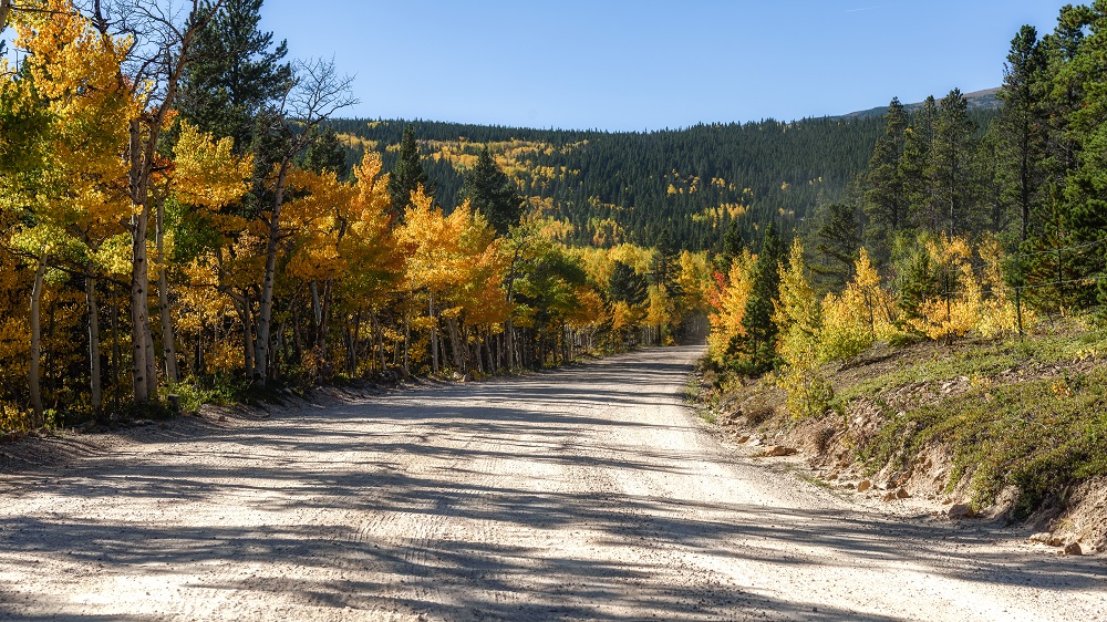 Colorado Fall Colors.--2.jpg