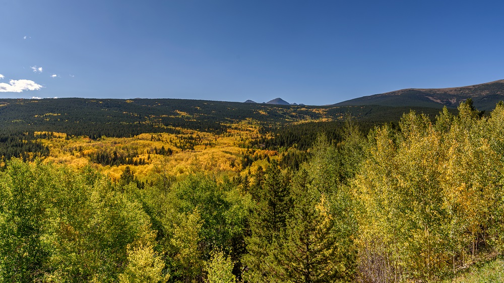 Colorado Fall Colors.-.jpg