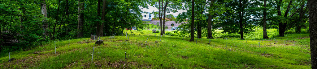Colored Cemetery Panorama (1 of 1).jpg