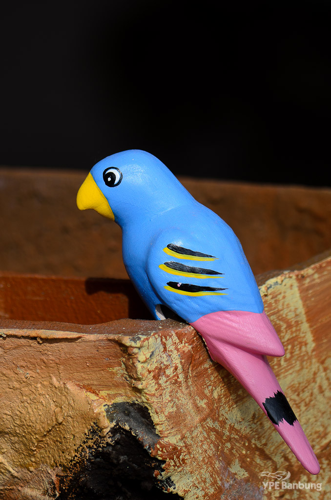 colorful-bird-2.jpg