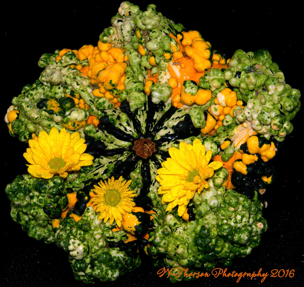 Colorful Gourd #2 9-27-2016.jpg