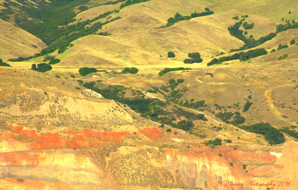 Colorful Mountain Side 7-22-2016.jpg
