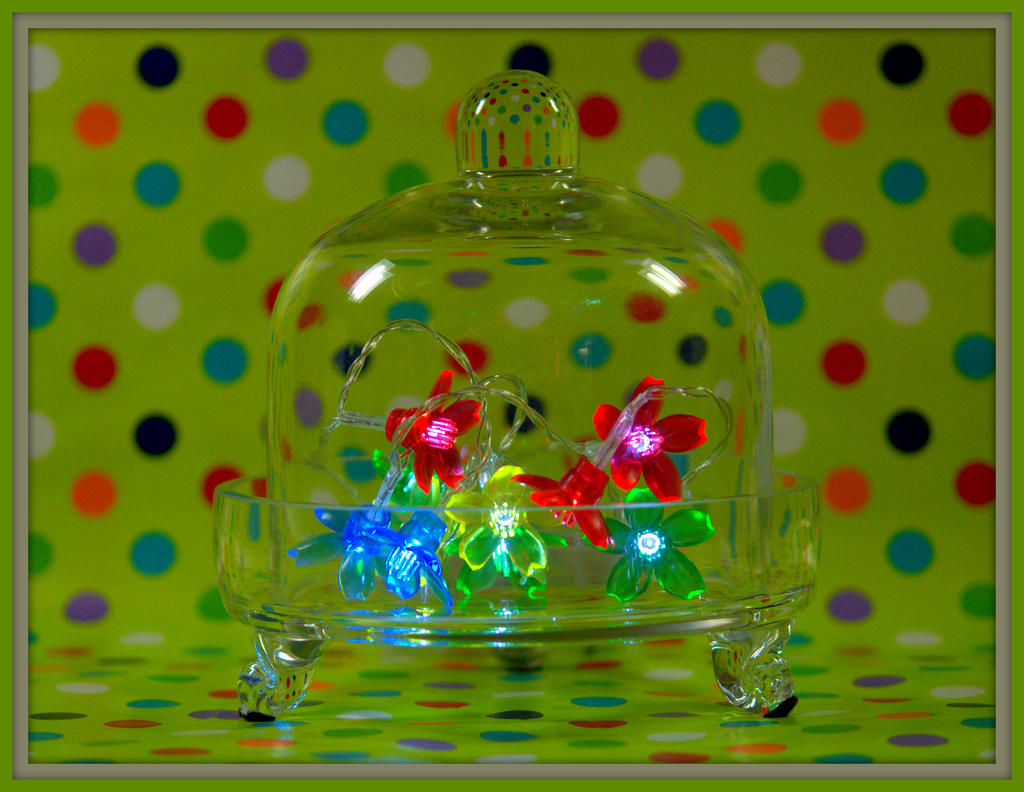 Colorful Polka Dots with Flower Lights.jpg