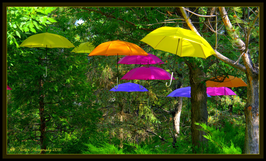 Colorful Umbrella's 6-9-2016.jpg