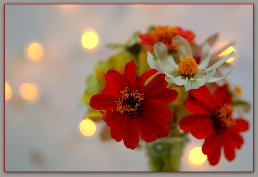 Colorful Zinnia Bouquet.jpg
