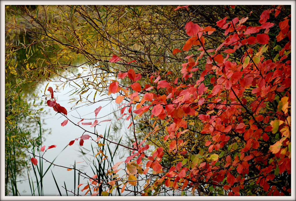 COLORS 026.jpg