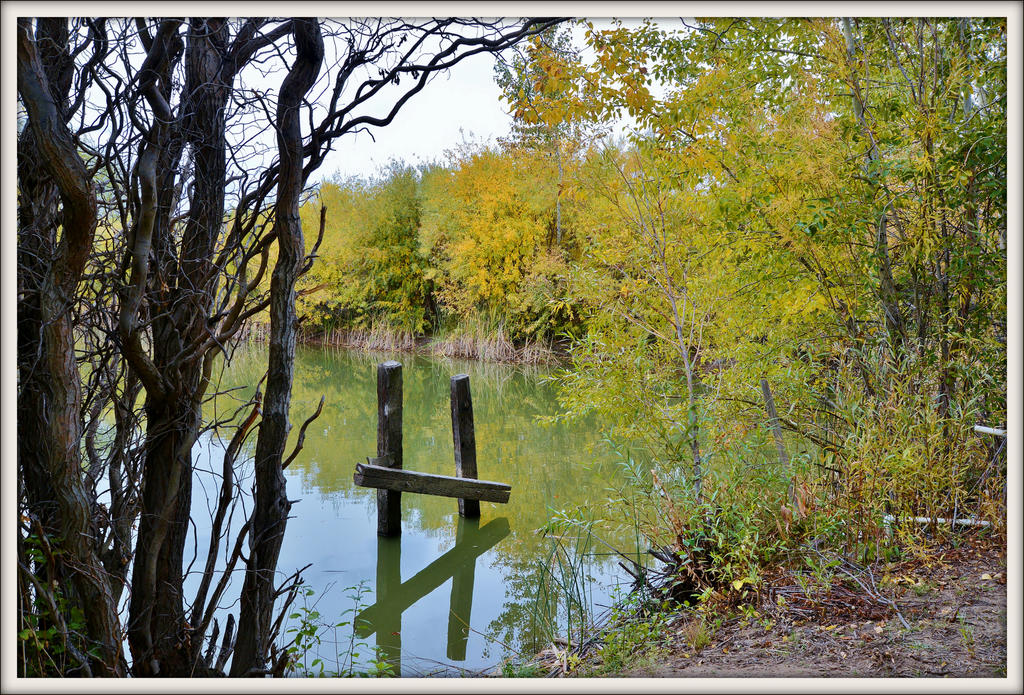 COLORS 036.jpg