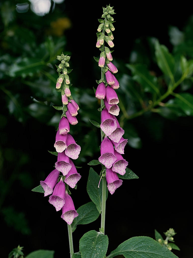 Colour-2.jpg