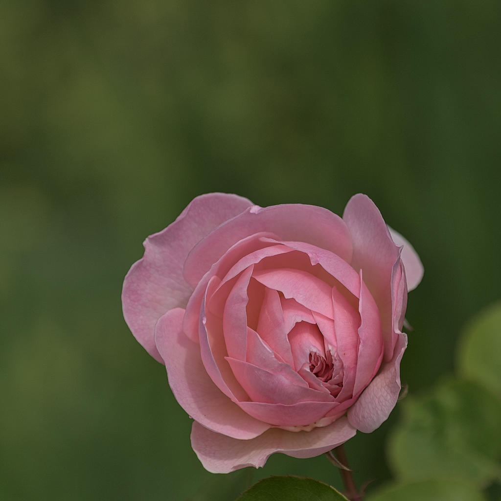 Colour-4.jpg