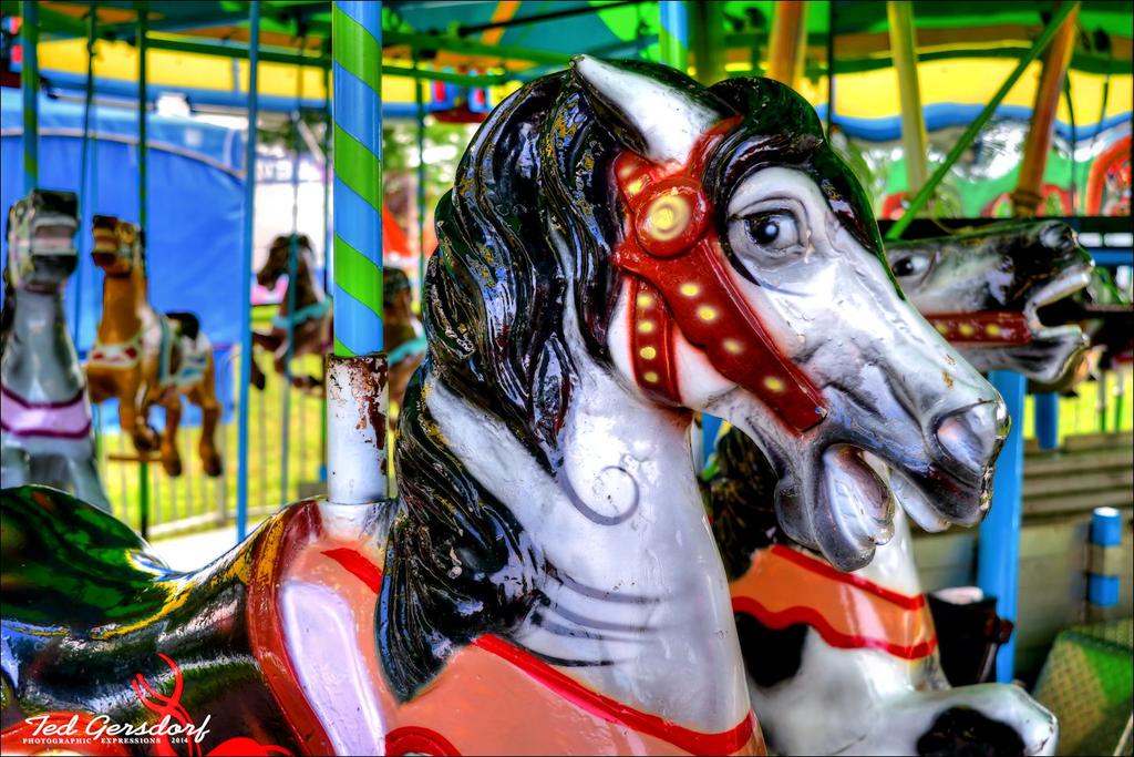 Columbia Wild Horse.jpg