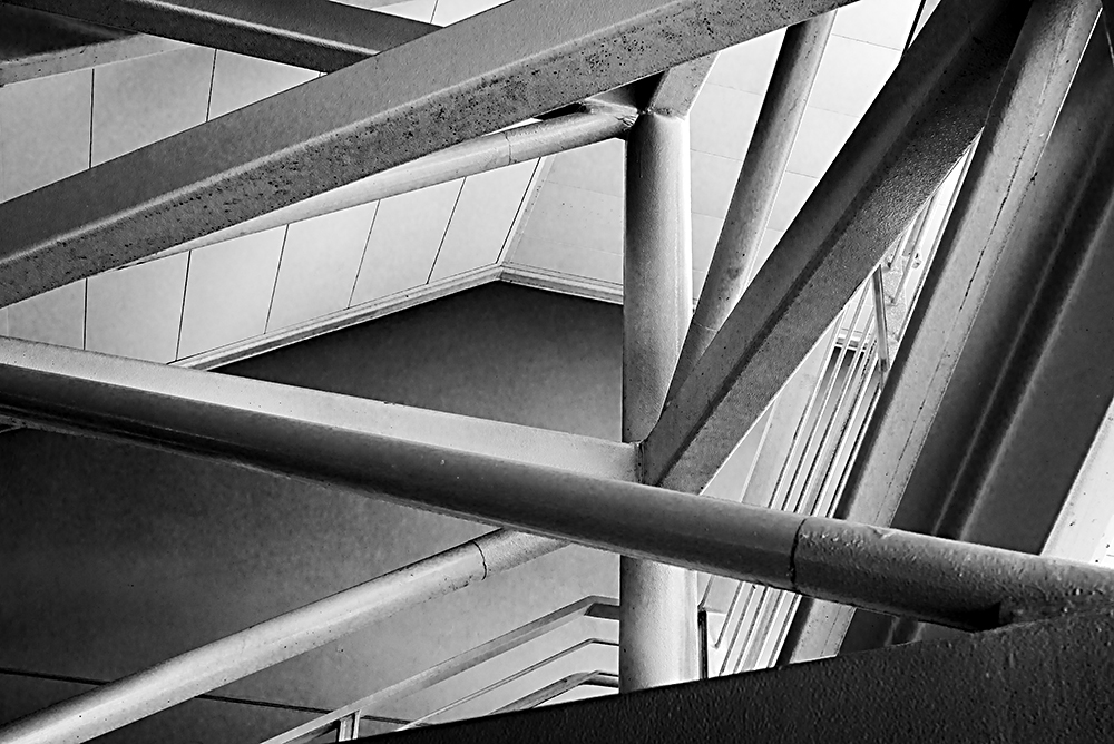 Concrete Jungles for One and All.jpg