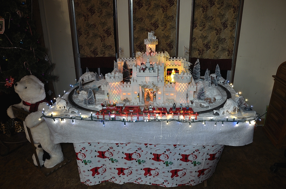 Copy - 26th Dec 2014-2 castle 022.JPG