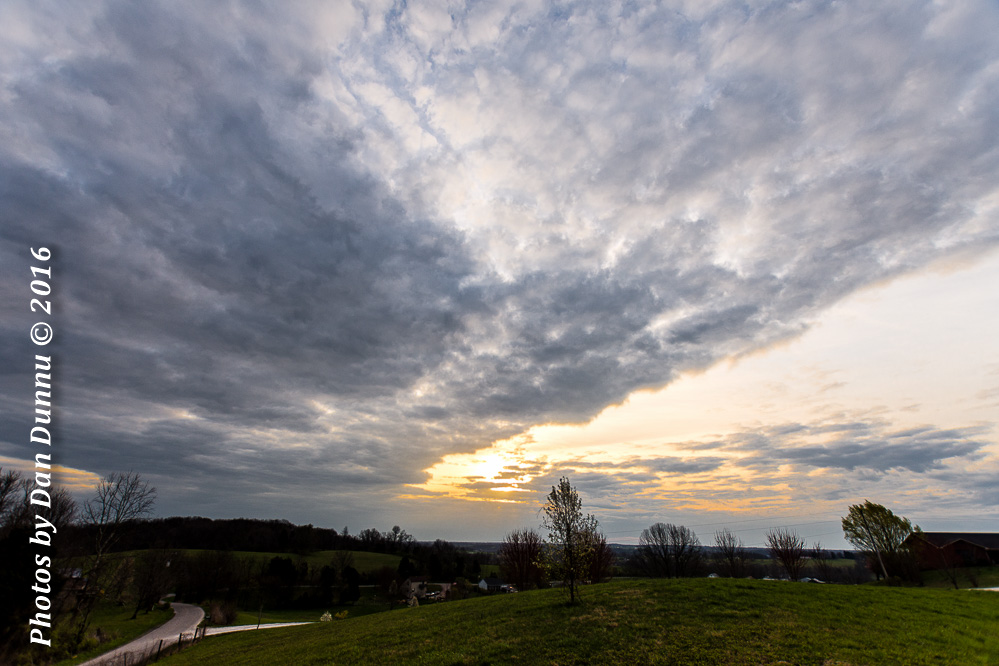 Country Morning-3861-Edit.jpg