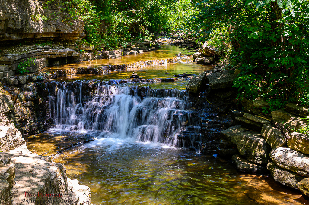Cove Springs-2651.jpg