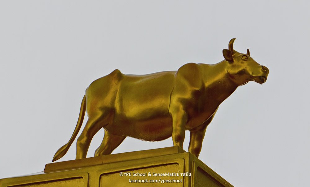 cow-2.jpg