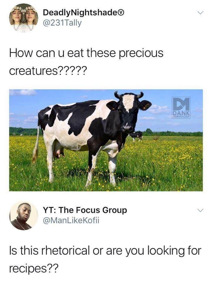 cow.jpg
