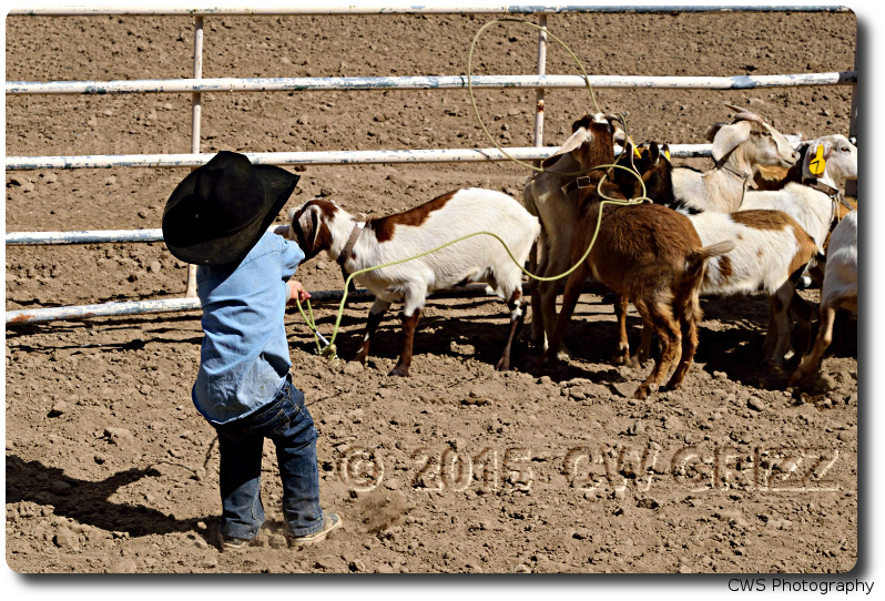 cowboy-in-the-making.jpg