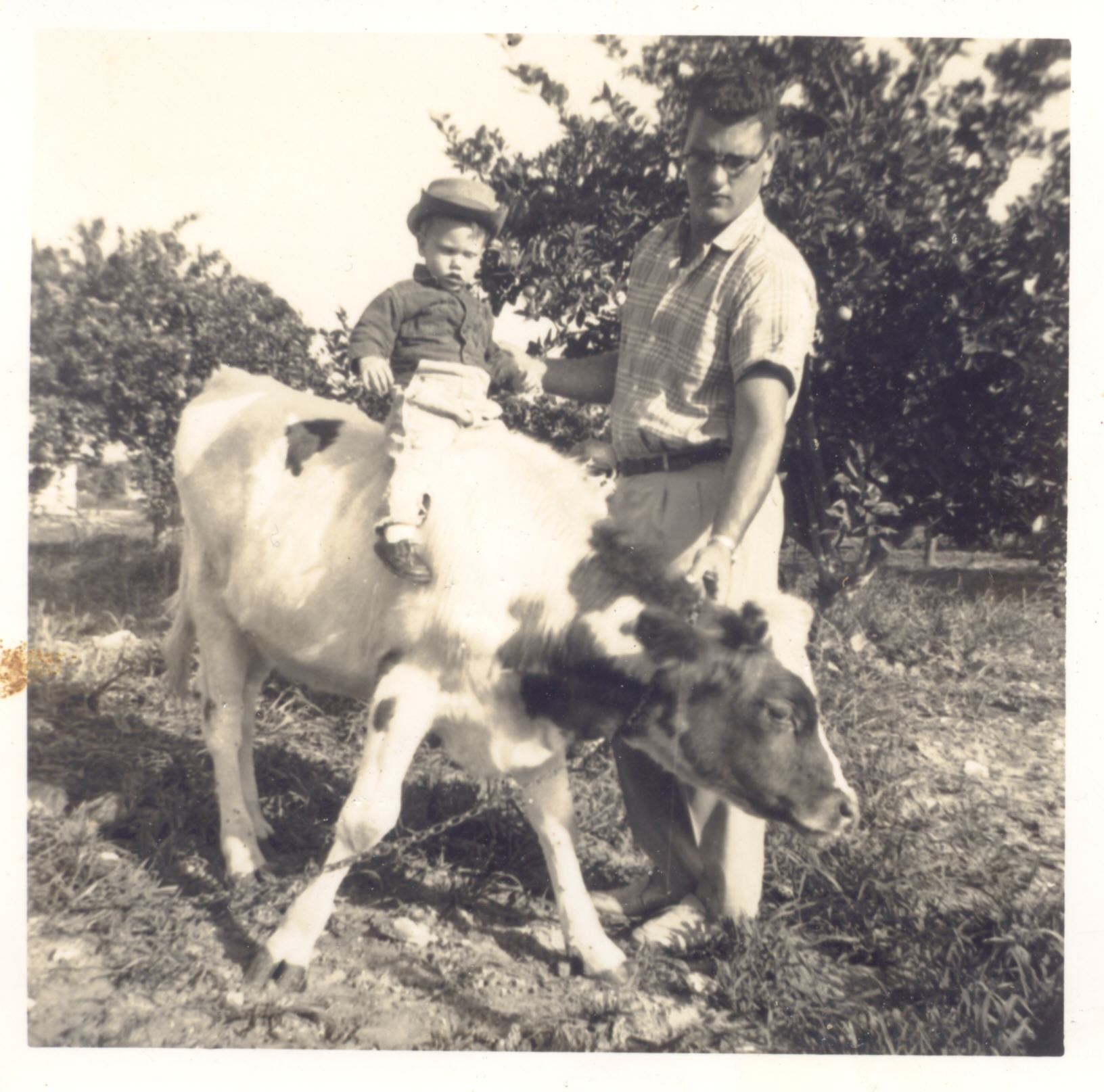 Cow's That.jpg